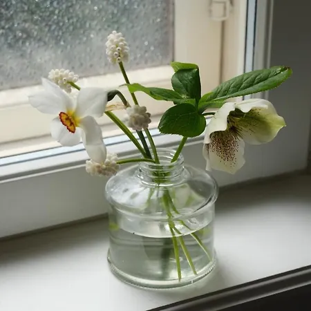 Lejlighed House Of Hilda