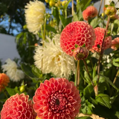 House Of Hilda Lejlighed *