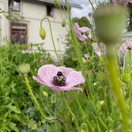 House Of Hilda 公寓 玛丽港