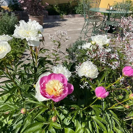 House Of Hilda 玛丽港