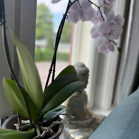 公寓 House Of Hilda *