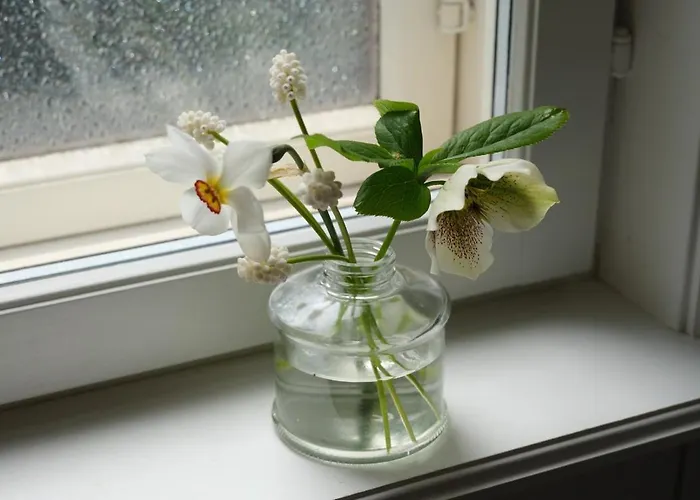 Lägenhet House Of Hilda