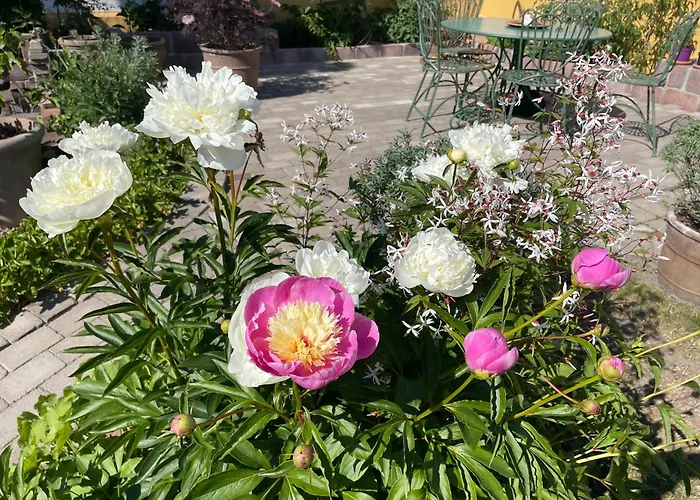 House Of Hilda Mariehamn