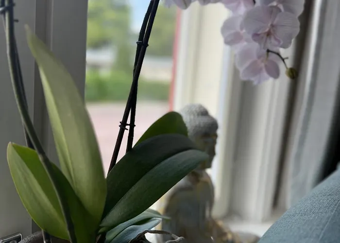 Lägenhet House Of Hilda *